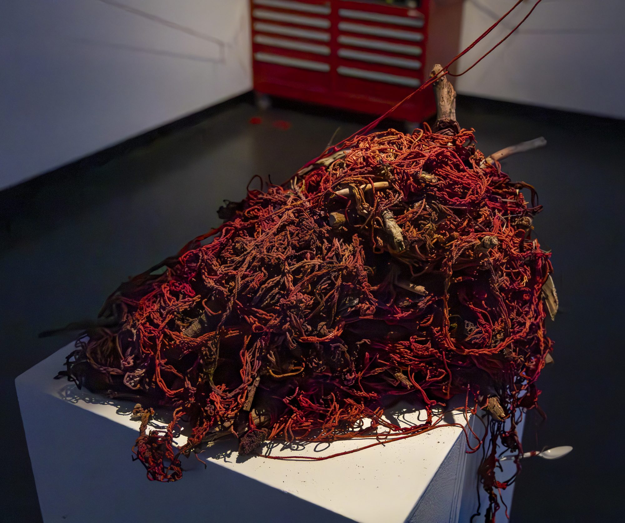 A dense mound of red yarn and twigs on a white plinth