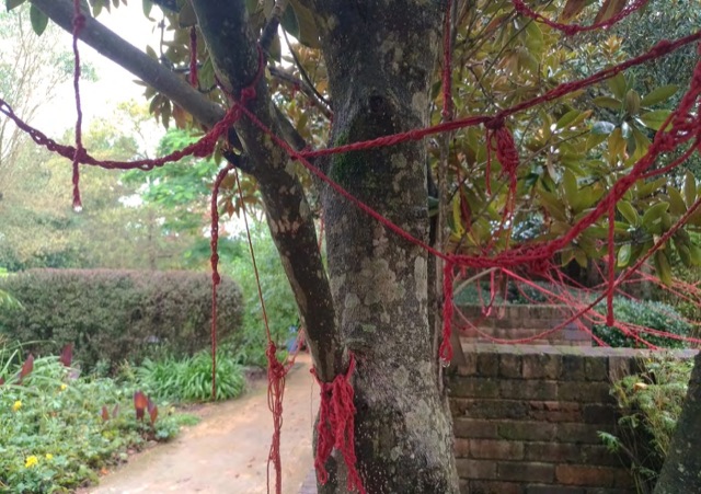 Red yarn wrapped around a tree trunk and strung through a garden