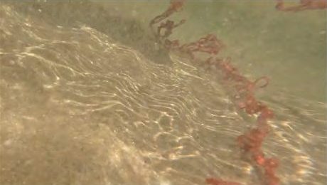 Red yarn moving through shallow water