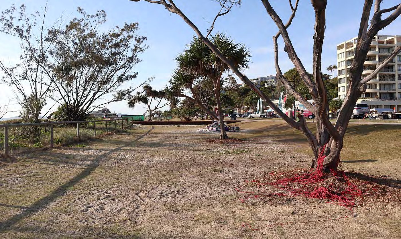 Red yarn gathered at the base of a tree on the foreshore