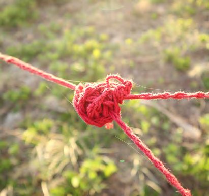 A knotted junction of red yarn above grass