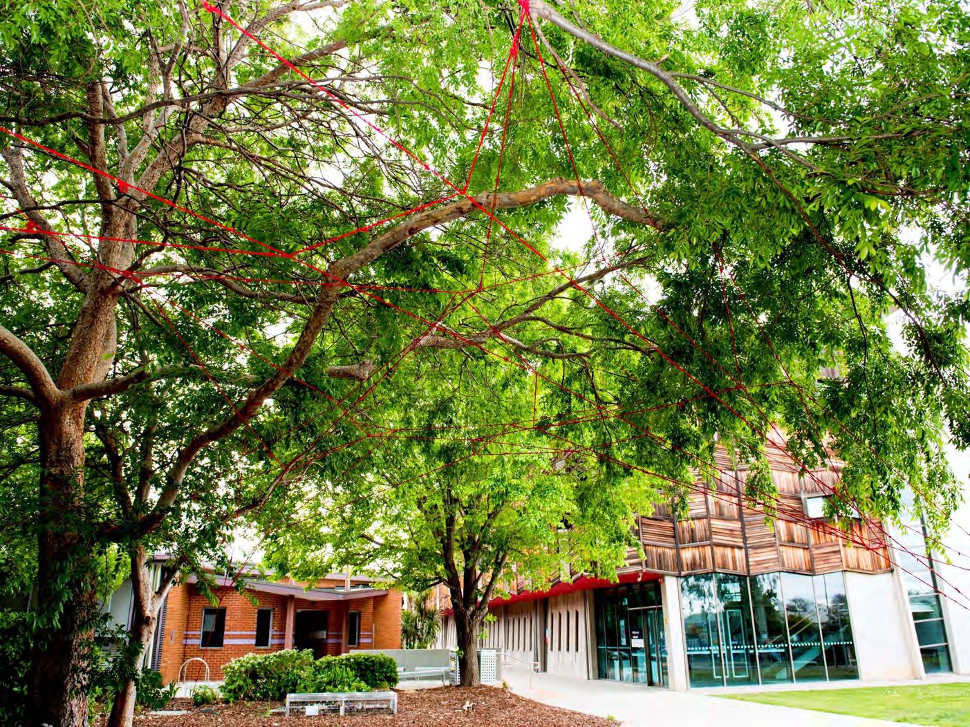 Red yarn strung through tall trees outside a brick building