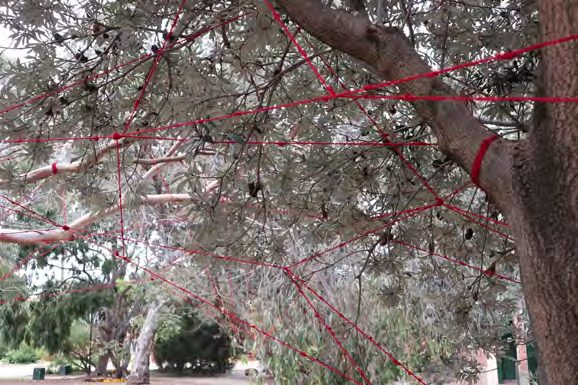 Red yarn lines through the canopy of a large tree