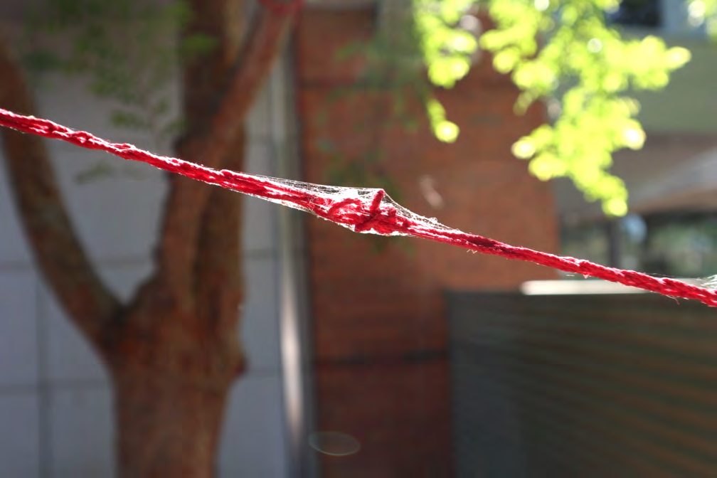 Red yarn wrapped around a tree branch, close up